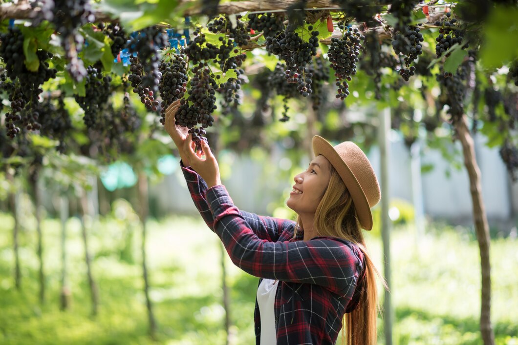 Zrozumieć filozofię naturalnej produkcji win: korzyści dla zdrowia i środowiska