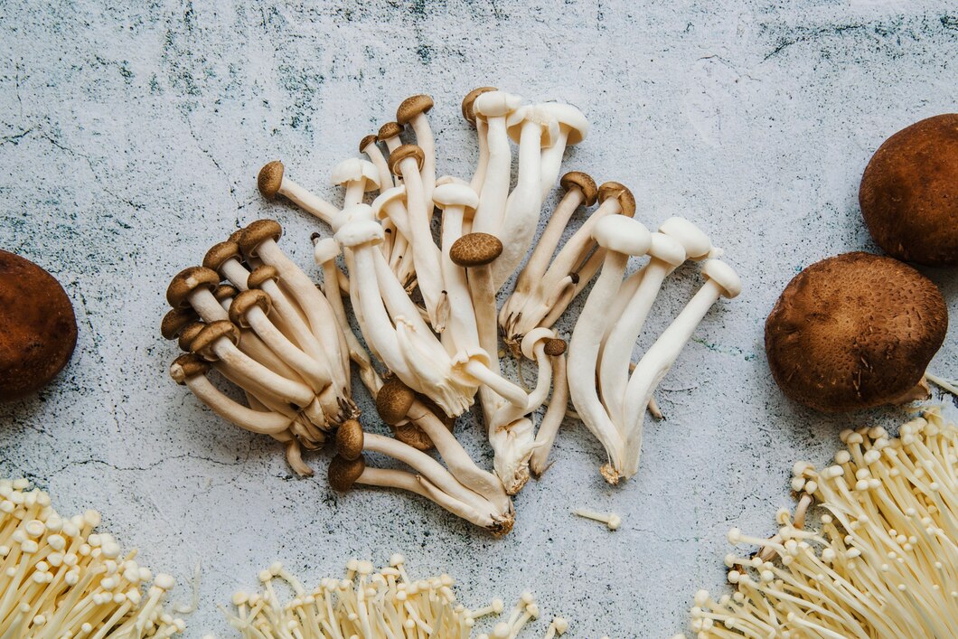 Jak ekstrakty z azjatyckich grzybów mogą wpływać na zdrowie?